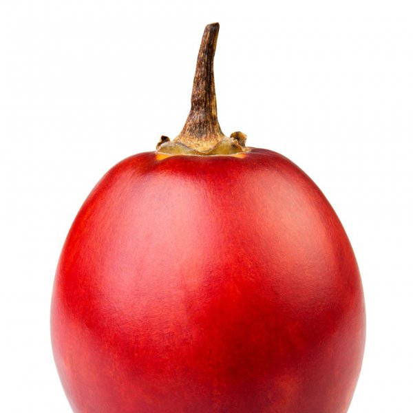 Tamarillo Assortiment Special Fruit