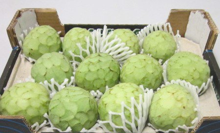Cherimoya - Assortment - Special Fruit