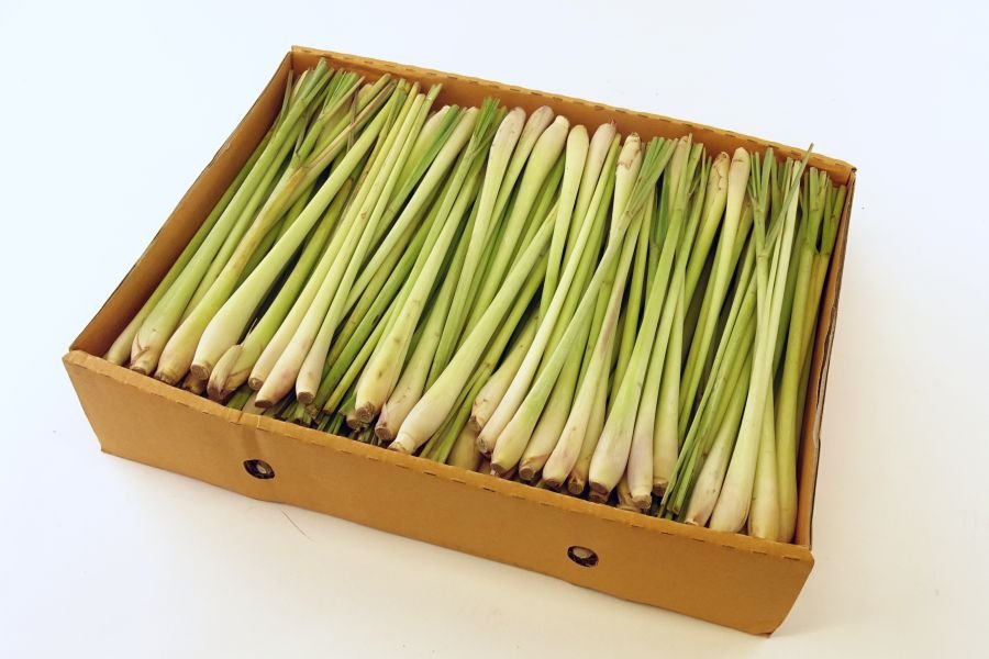 Lemongrass Assortment Special Fruit