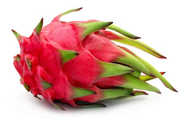 Dragon Fruit, Tropical & Specialty