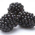 Blackberries