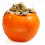 Persimmon