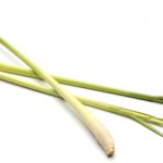 Lemongrass 