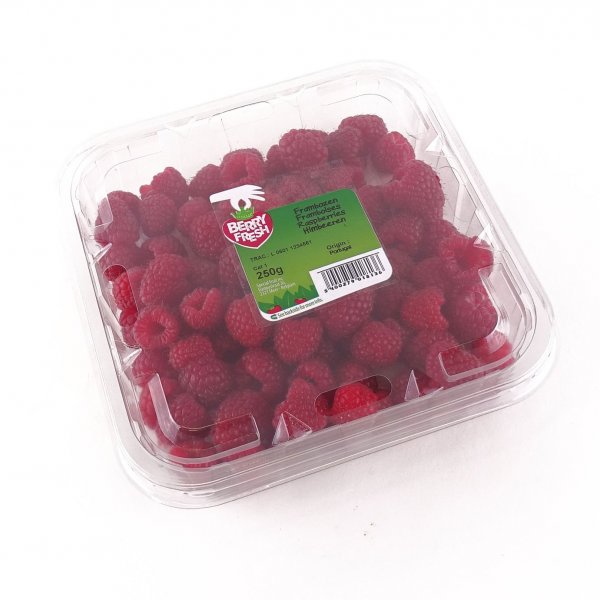 Punnet with lid 