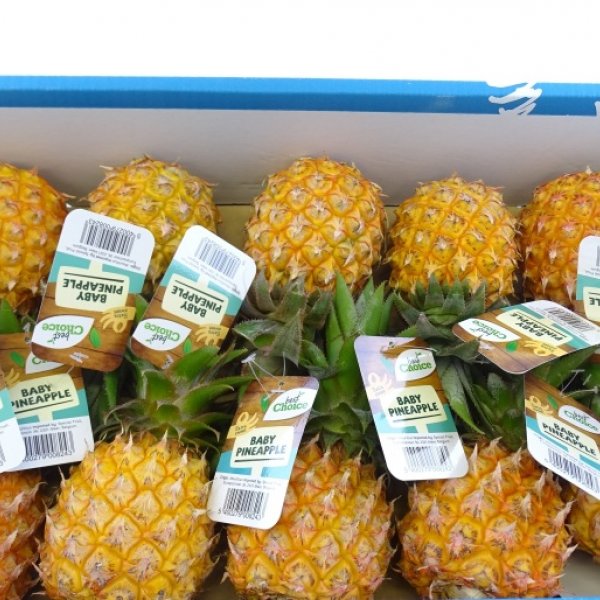 Baby pineapple - Assortment - Special Fruit