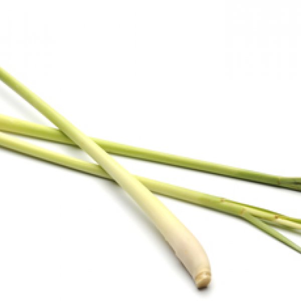 Lemongrass 