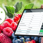 Introducing QC One at Special Fruit Introducing QC One at Special Fruit