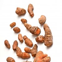 Turmeric - Curcuma