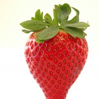 Strawberries Calinda