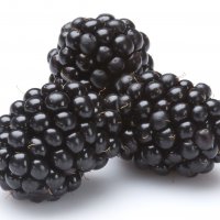 Moras