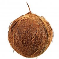 Noix de coco