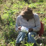 Farmerwritinginthefield